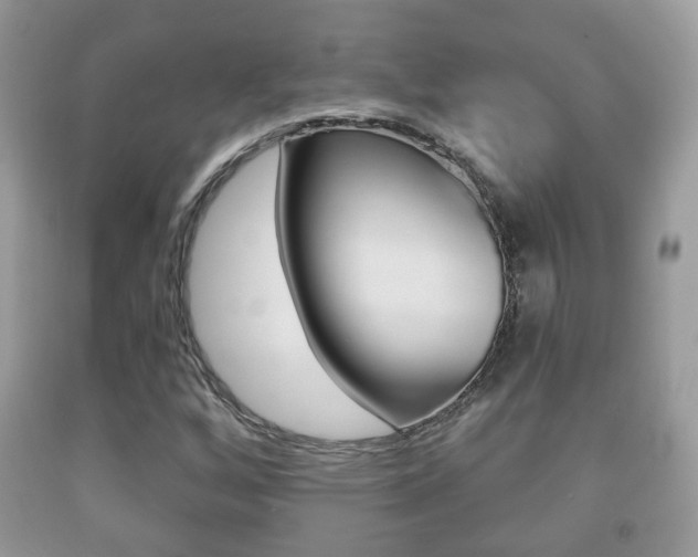 X0000091931256200709051233