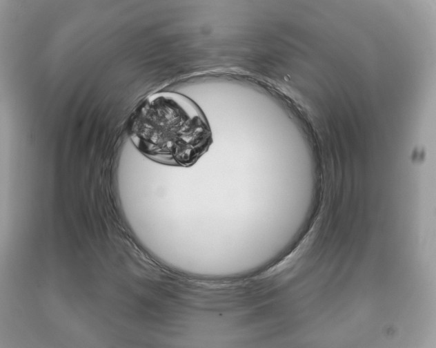 X0000091931257200709051233
