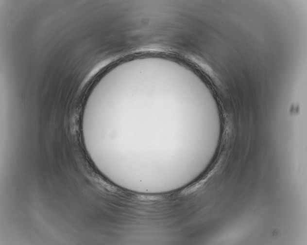 X0000091931258200709051233