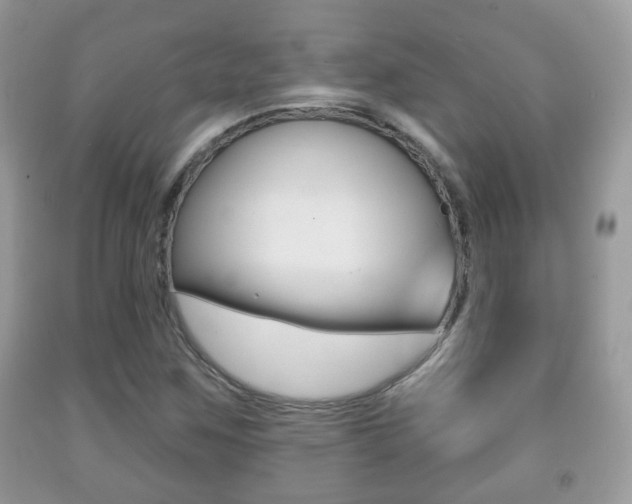 X0000091931259200709051233