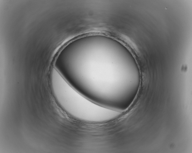 X0000091931260200709051233