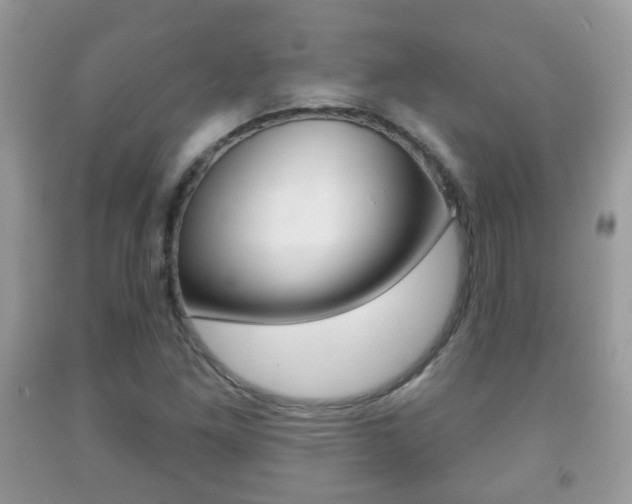 X0000091931261200709051233