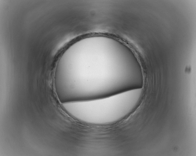 X0000091931262200709051233