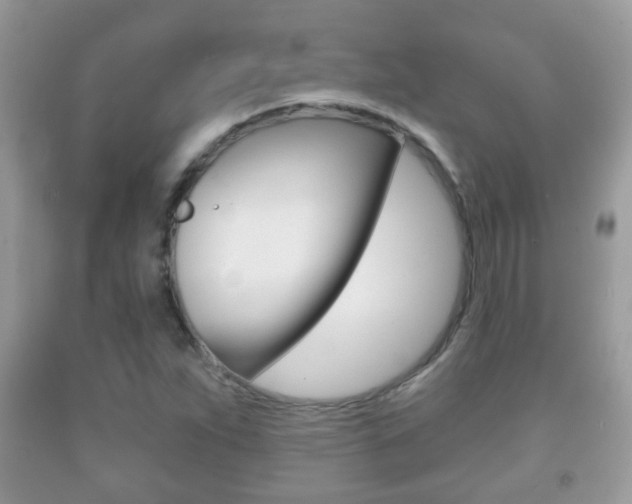 X0000091931263200709051233