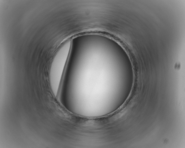 X0000091931265200709051233