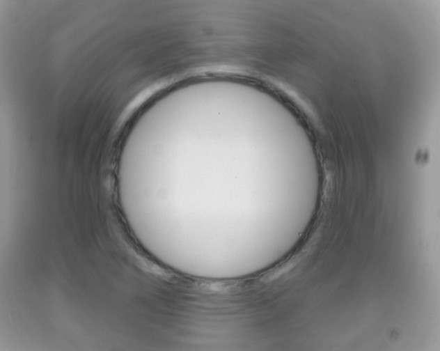 X0000091931266200709051233