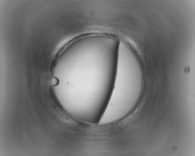 X0000091931267200709051233
