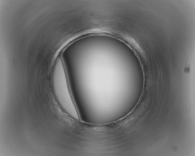 X0000091931268200709051233