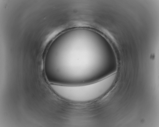 X0000091931269200709051233