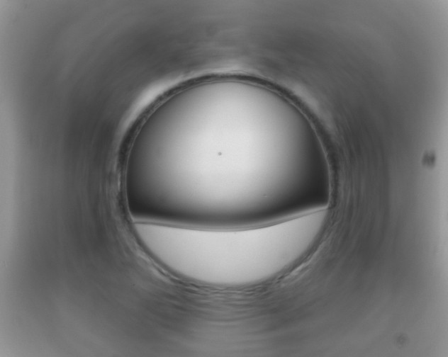 X0000091931270200709051233