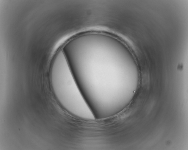 X0000091931271200709051233
