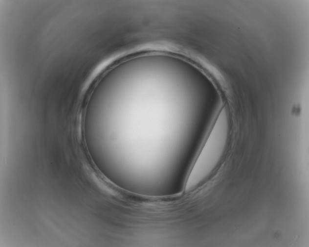 X0000091931272200709051233