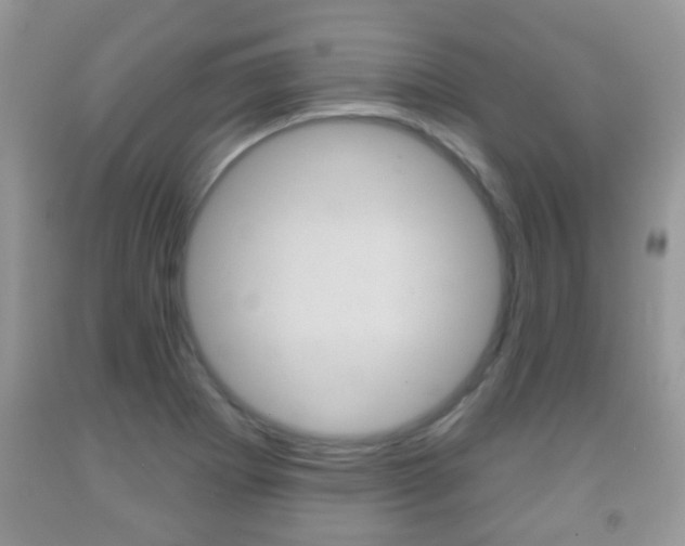 X0000091931273200709051233