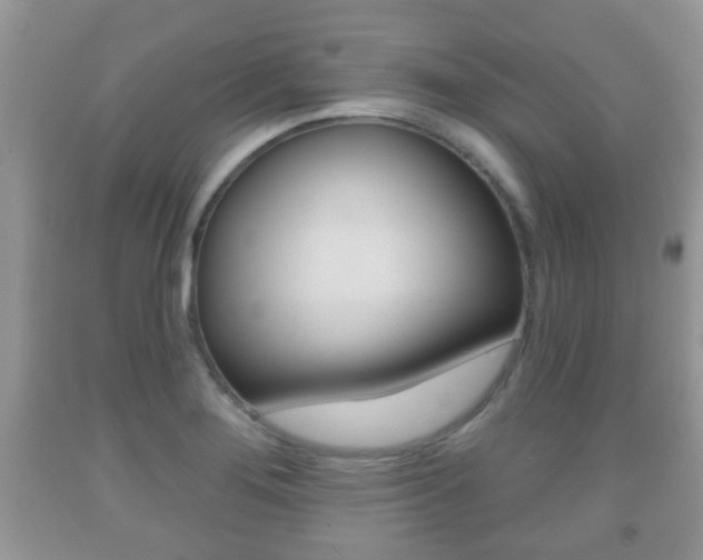 X0000091931276200709051233