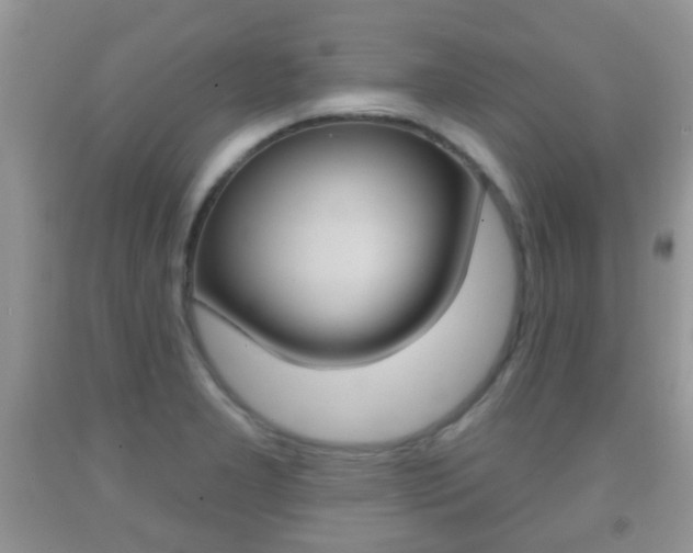 X0000091931277200709051233
