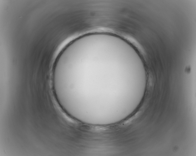 X0000091931278200709051233