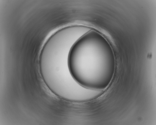 X0000091931280200709051233