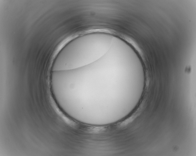 X0000091931282200709051233
