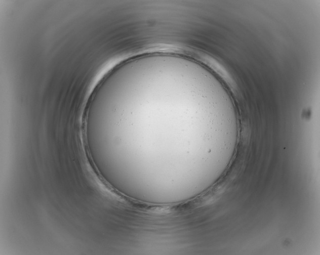 X0000091931283200709051233