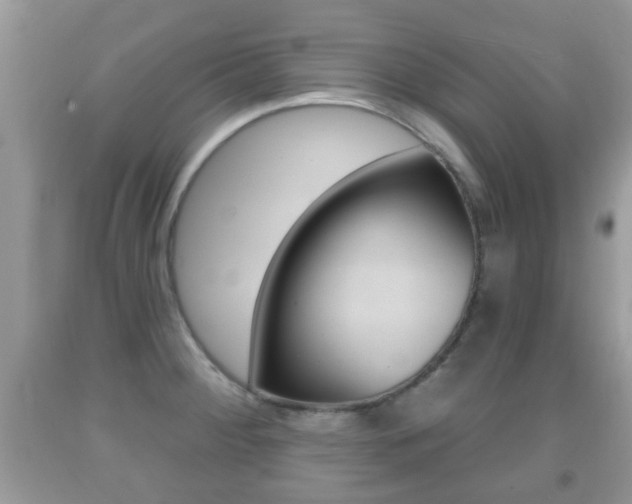 X0000091931284200709051233
