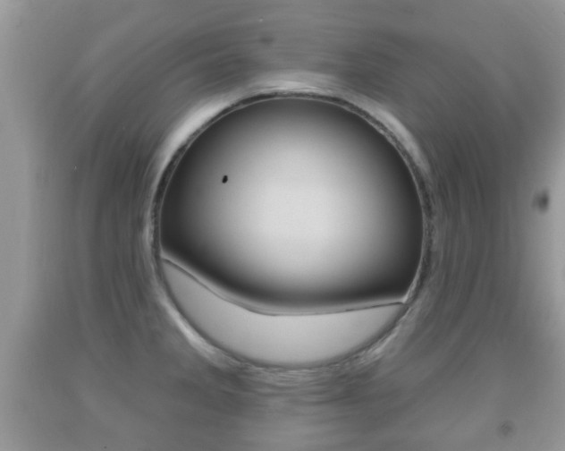 X0000091931285200709051233