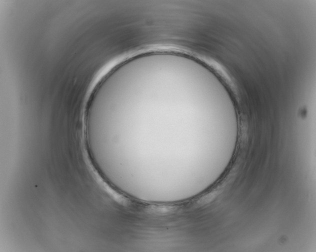 X0000091931286200709051233