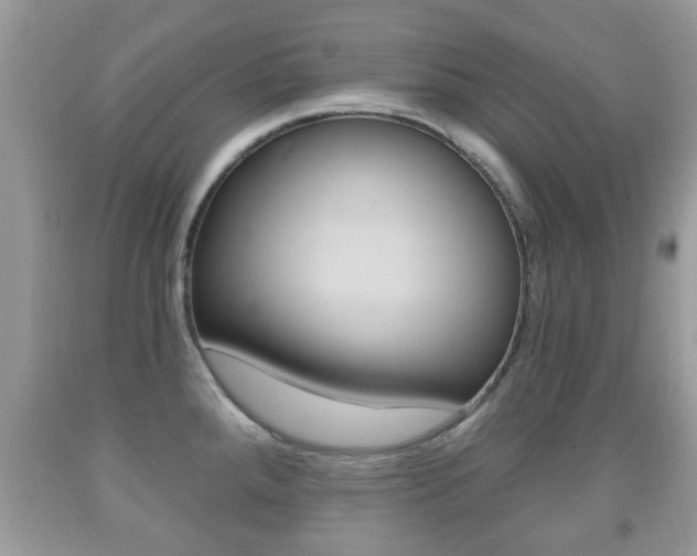 X0000091931288200709051233