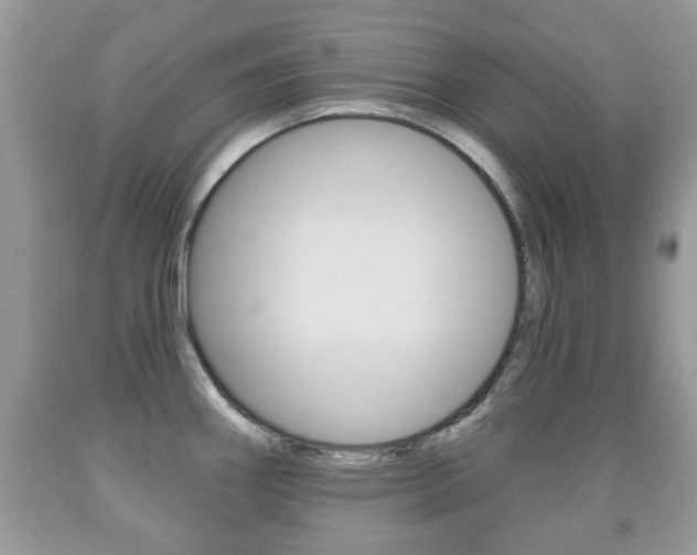 X0000091931290200709051233