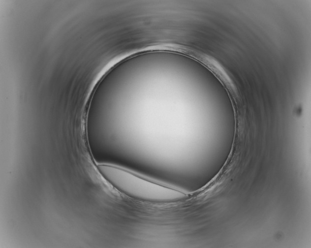 X0000091931292200709051233