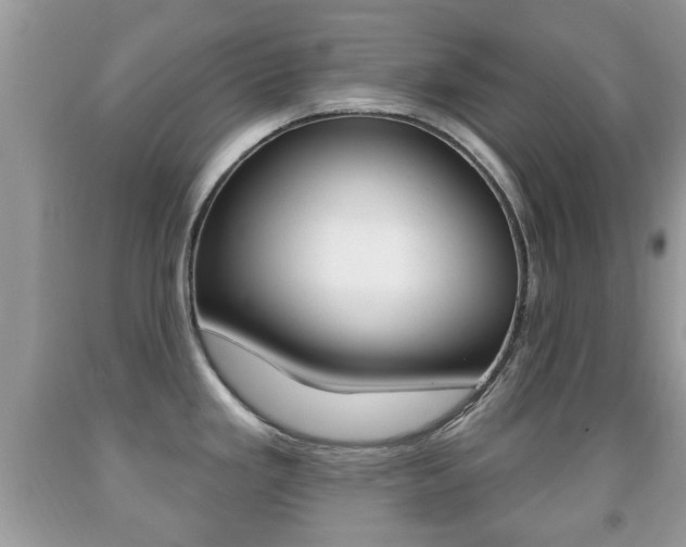 X0000091931293200709051233
