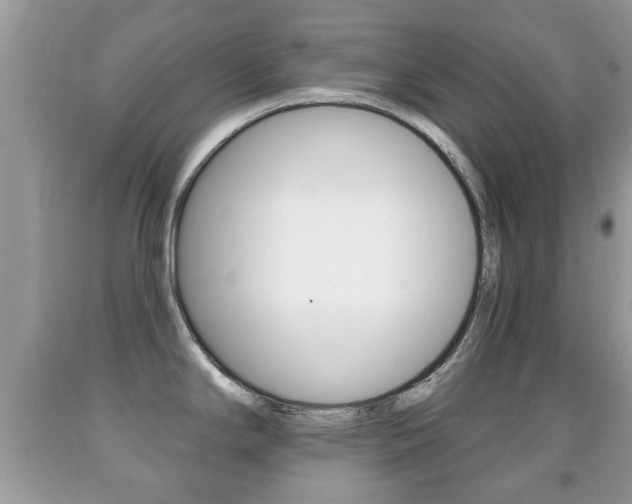 X0000091931294200709051233
