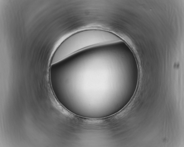 X0000091931296200709051233