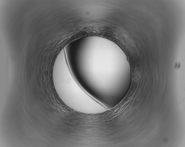 X0000091931297200709051232