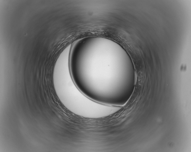 X0000091931298200709051232