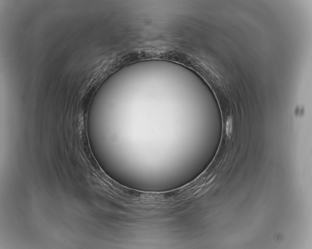 X0000091931299200709051232