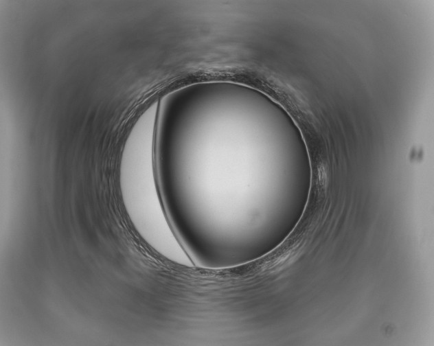 X0000091931300200709051232