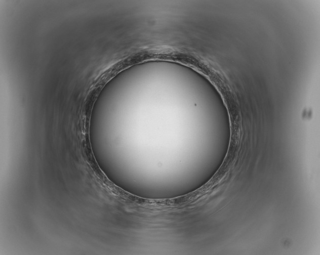 X0000091931301200709051232