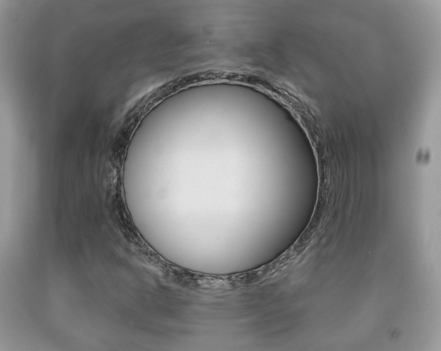 X0000091931302200709051232