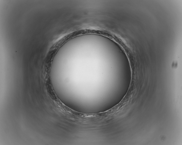 X0000091931303200709051232