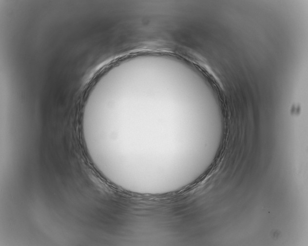 X0000091931304200709051232