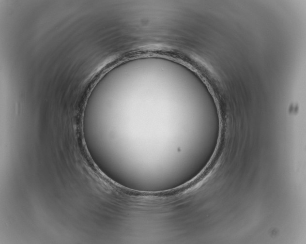 X0000091931305200709051232