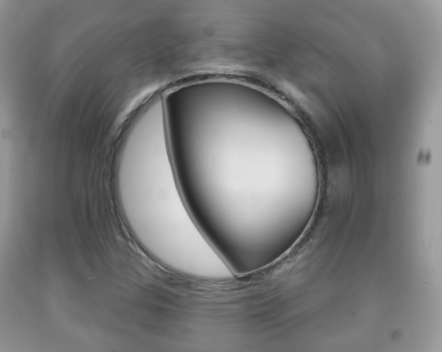 X0000091931307200709051232