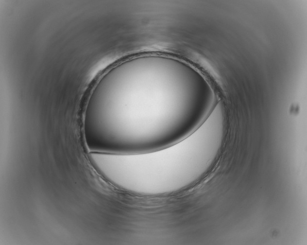 X0000091931308200709051232