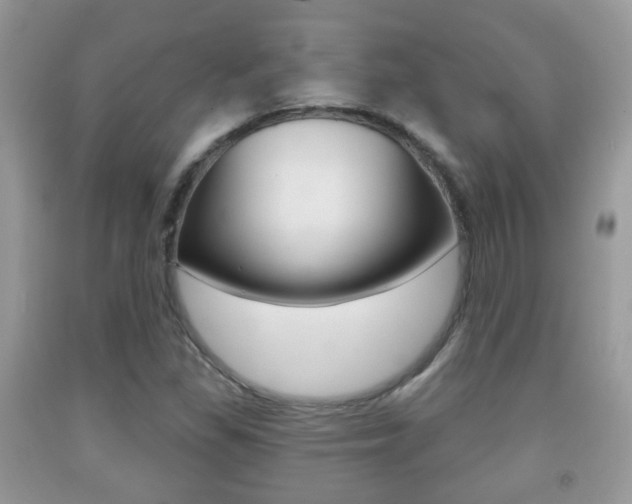 X0000091931309200709051232