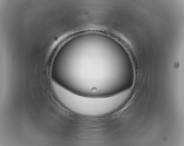 X0000091931310200709051232