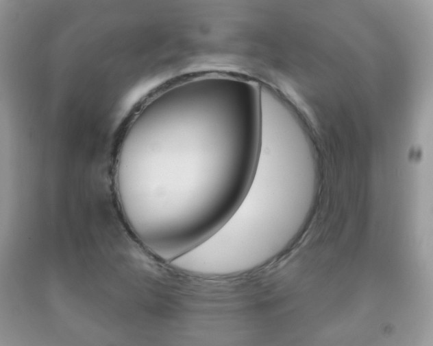 X0000091931312200709051232