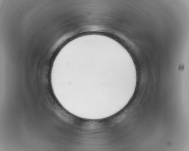 X0000091931314200709051232
