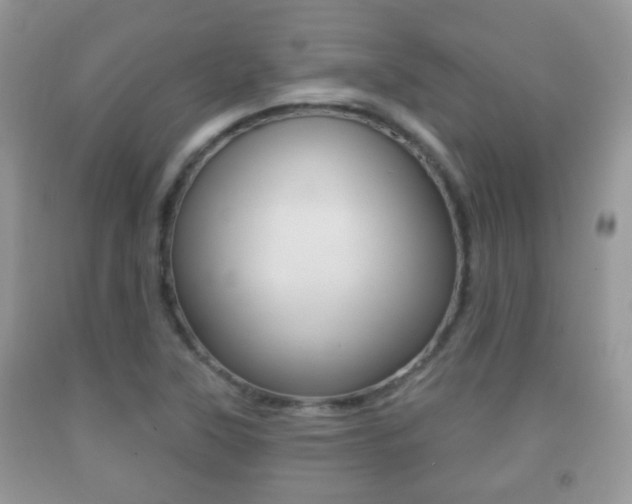 X0000091931315200709051232