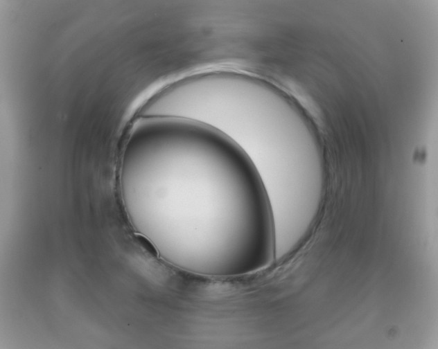 X0000091931316200709051232