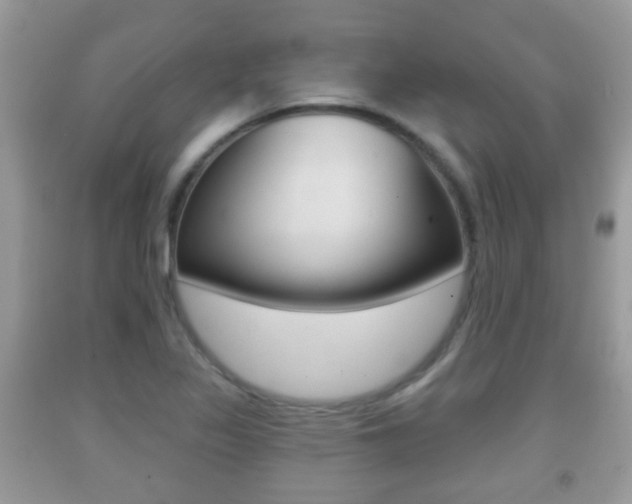 X0000091931317200709051232